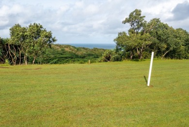 Beach Acreage For Sale in Kilauea, Hawaii