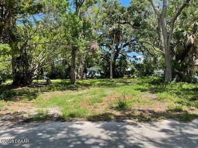 Beach Lot For Sale in Daytona Beach, Florida