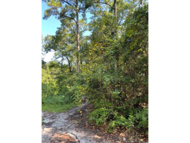 Beach Lot Sale Pending in Little River, South Carolina