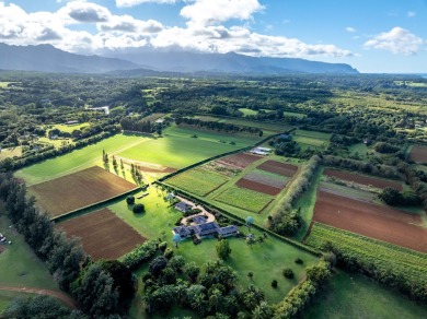 Beach Home For Sale in Kilauea, Hawaii