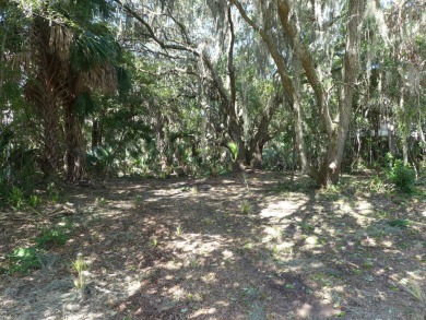 Beach Lot For Sale in Edisto Island, South Carolina