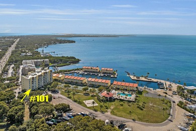Beach Condo For Sale in Plantation Key, Florida
