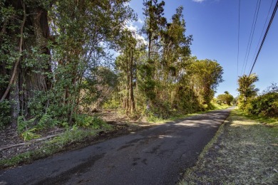 Beach Acreage For Sale in Volcano, Hawaii