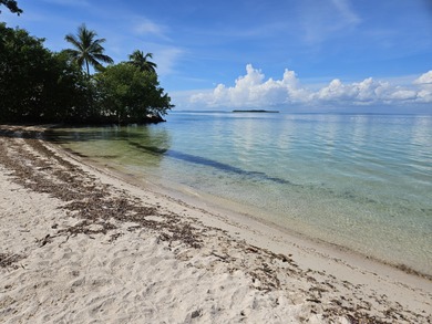 Beach Lot For Sale in Key Largo, Florida