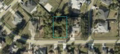 Beach Lot For Sale in Palm Coast, Florida