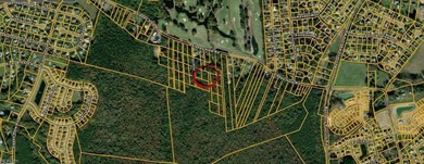 Beach Lot For Sale in Suffolk, Virginia
