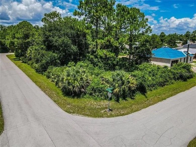 Beach Lot For Sale in Palm Coast, Florida