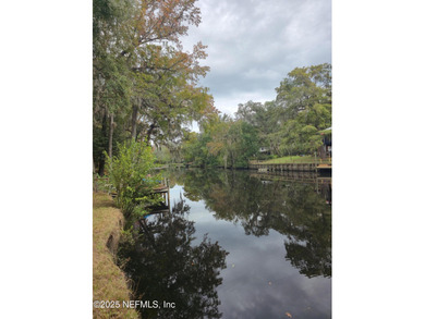 Beach Lot For Sale in Middleburg, Florida
