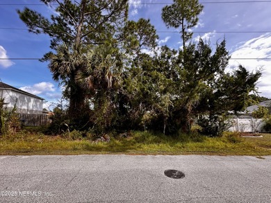 Beach Lot For Sale in Palm Coast, Florida