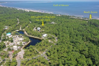 Beach Lot For Sale in Sopchoppy, Florida