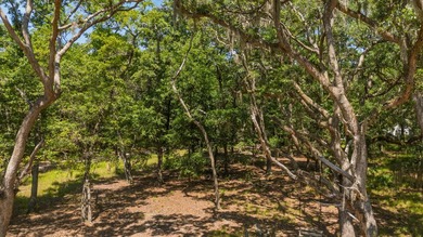 Beach Lot For Sale in Edisto Island, South Carolina