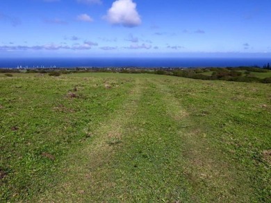 Beach Acreage For Sale in Hawi, Hawaii