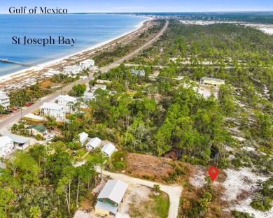 Beach Lot For Sale in Port St Joe, Florida