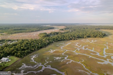 Beach Acreage For Sale in Woodbine, Georgia
