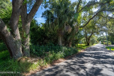 Beach Lot For Sale in St. Augustine Beach, Florida