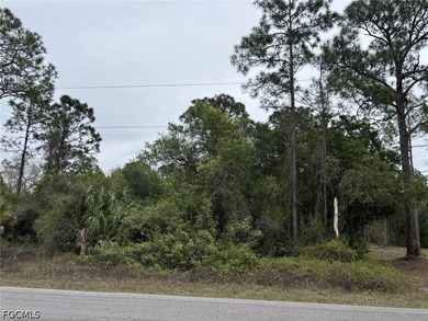 Beach Lot For Sale in Lehigh Acres, Florida