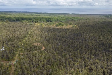 Beach Acreage For Sale in Pahoa, Hawaii