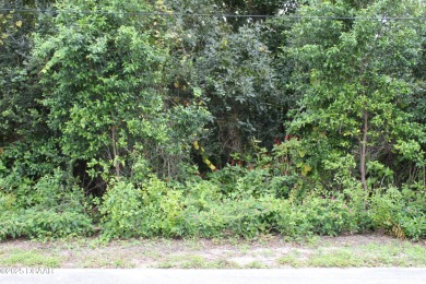 Beach Acreage For Sale in Ormond Beach, Florida