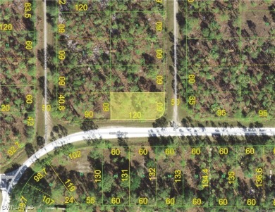 Beach Lot For Sale in Punta Gorda, Florida