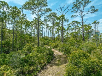 Beach Lot For Sale in St. George Island, Florida