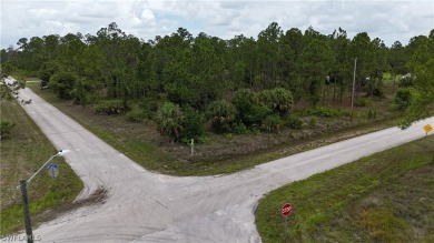 Beach Lot Sale Pending in Lehigh Acres, Florida