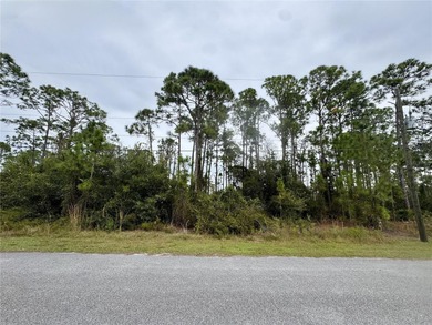 Beach Lot For Sale in North Port, Florida