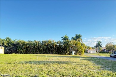 Beach Lot For Sale in Cape Coral, Florida