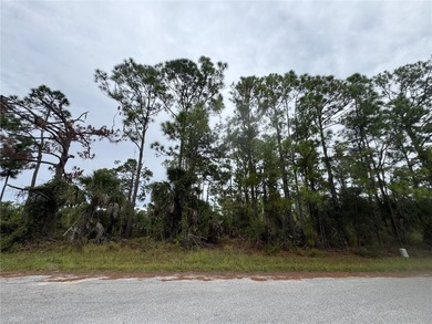 Beach Lot For Sale in North Port, Florida