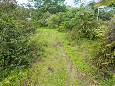 Beach Lot Active Under Contract in Pahoa, Hawaii