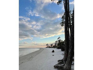 Beach Lot For Sale in Carabelle, Florida