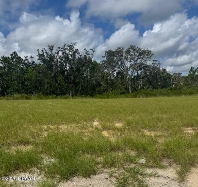 Beach Lot For Sale in Flagler Beach, Florida