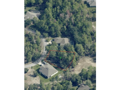 Beach Lot For Sale in Homosassa, Florida