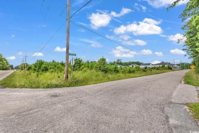 Beach Commercial For Sale in Little River, South Carolina