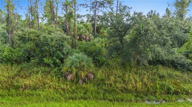 Beach Lot For Sale in North Port, Florida