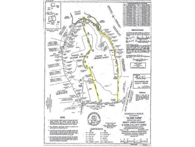 Beach Lot Sale Pending in Burgess, Virginia