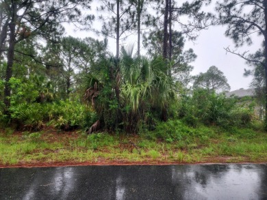 Beach Lot Sale Pending in Palm Bay, Florida