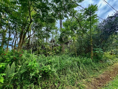 Beach Lot For Sale in Pahoa, Hawaii