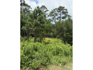 Beach Lot For Sale in Sneads Ferry, North Carolina