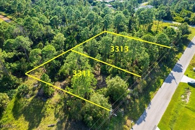 Beach Lot For Sale in Lehigh Acres, Florida