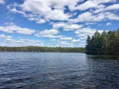 Beach Acreage For Sale in Ellsworth, Maine