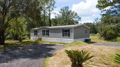 Beach Home For Sale in Bunnell, Florida