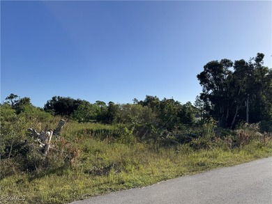Beach Lot For Sale in Lehigh Acres, Florida