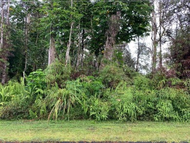 Beach Lot For Sale in Pahoa, Hawaii