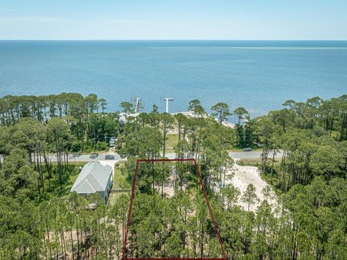 Beach Lot For Sale in Carabelle, Florida