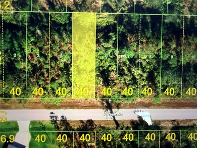 Beach Lot For Sale in Punta Gorda, Florida