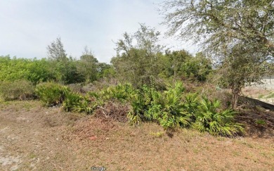 Beach Lot For Sale in Lehigh Acres, Florida