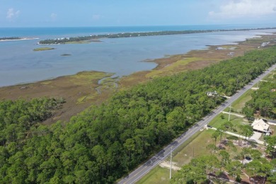 Beach Lot For Sale in Port St Joe, Florida