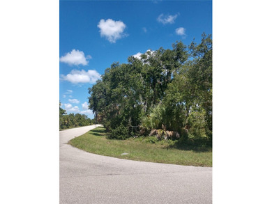 Beach Lot For Sale in Port Charlotte, Florida