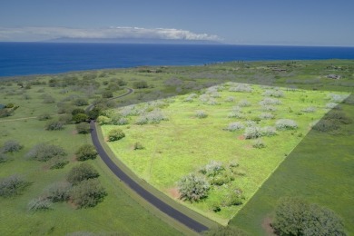 Beach Acreage For Sale in Hawi, Hawaii