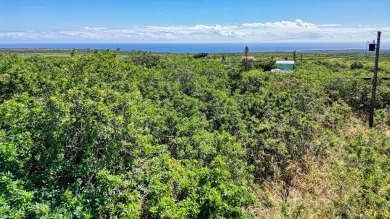 Beach Lot For Sale in Naalehu, Hawaii
